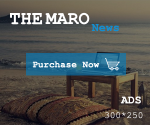 Nexus Blog  Ads Management